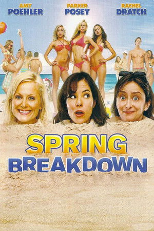 Spring Breakdown (2009)