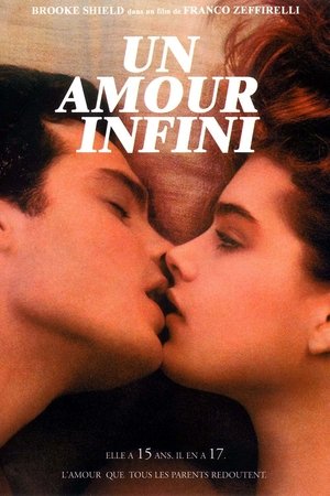 Un amour infini (1981)