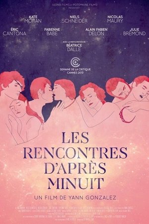 Les rencontres d'après minuit (2013)