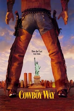 Deux Cowboys à New York (1994)