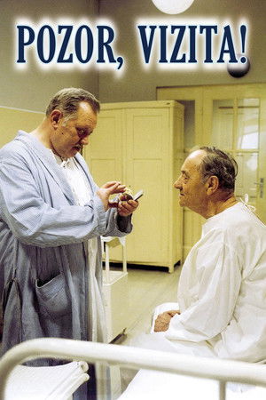 Pozor, vizita! (1982)