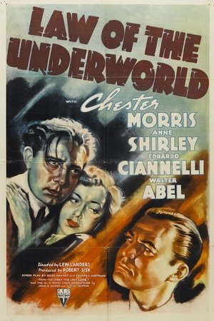 Law of the Underworld (1938)