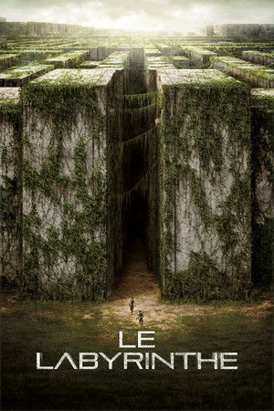 Le Labyrinthe (2014)