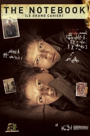 Le Grand Cahier (2013)