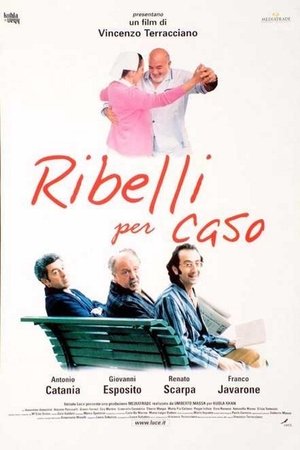 Ribelli per caso (2000)