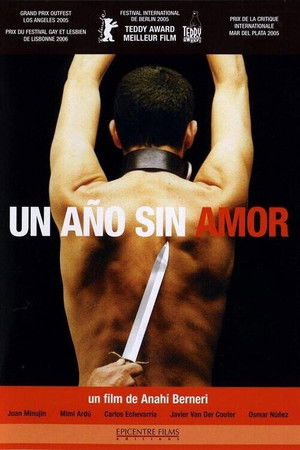 Un Año sin amor (2005)