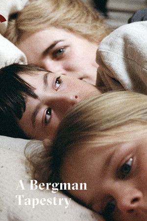 Fanny & Alexander: A Bergman Tapestry (2004)