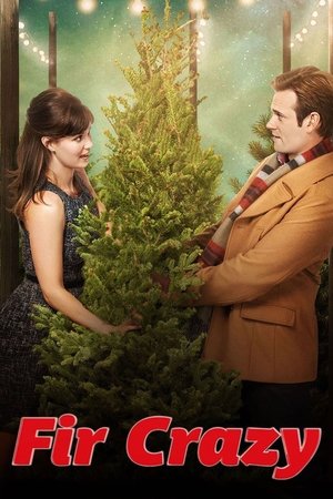 Le Bonheur au pied du sapin (2013)