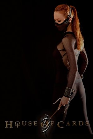 The House of Cards (2013)