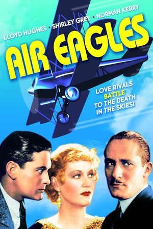 Air Eagles (1931)