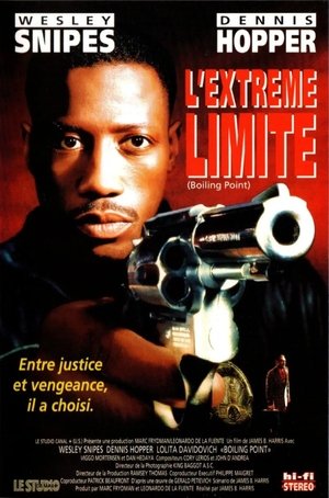 L'Extrême Limite (1993)