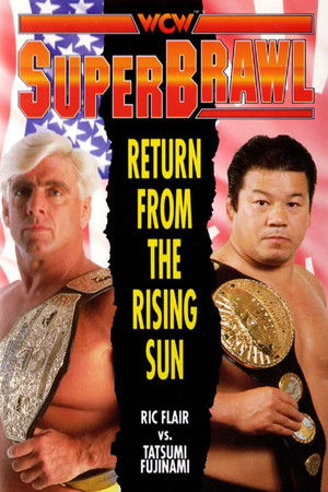 WCW SuperBrawl 1 (1991)