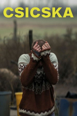 Csicska (2011)