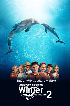 L'Incroyable Histoire de Winter le dauphin 2 (2014)