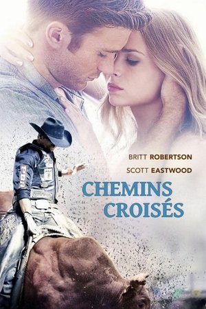 Chemins croisés (2015)