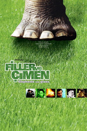 Filler ve Çimen (2000)