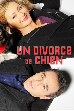 Un divorce de chien (2010)