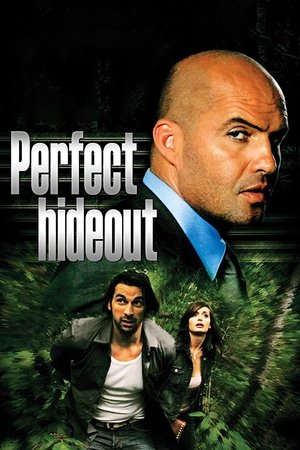 Perfect Hideout (2008)