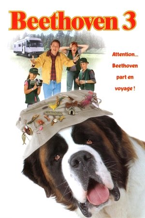 Beethoven 3 (2000)
