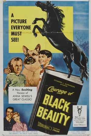 Courage of Black Beauty (1957)