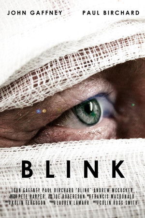 Blink (2013)