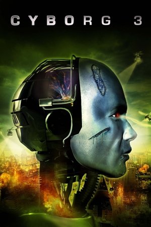 Cyborg 3 : The Recycler (1995)