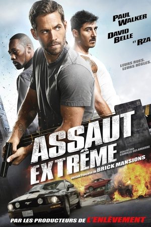 Brick Mansions (2014)