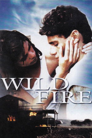 Wildfire (1988)