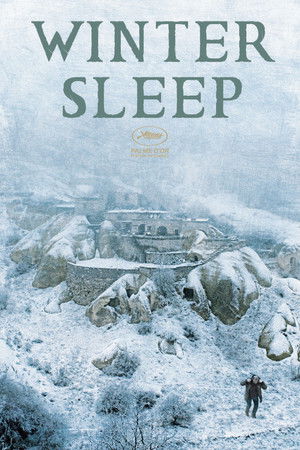 Winter Sleep (2014)