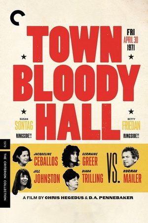 Town Bloody Hall (1979)