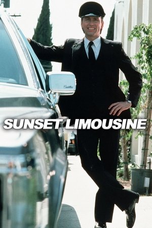 Sunset Limousine (1983)