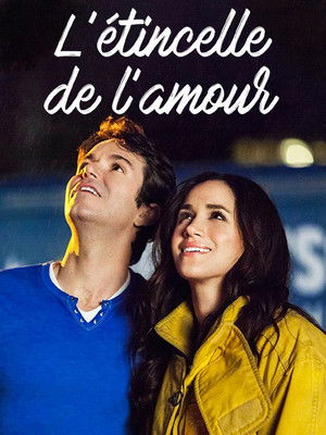 L'Étincelle de l'amour (2014)