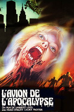 L'Avion de l'apocalypse (1980)