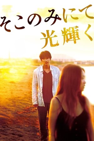 そこのみにて光輝く (2014)