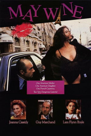 Les Belles Américaines (1990)