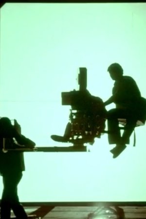 Une bonne à tout faire (1981)