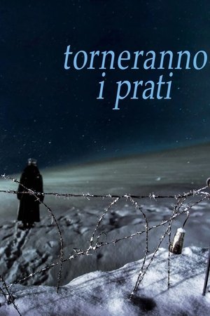 Torneranno i prati (2014)