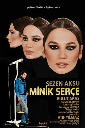 Minik Serçe (1979)