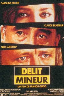 Délit mineur (1994)