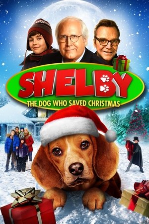 Shelby (2014)