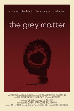 The Grey Matter (2014)