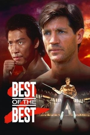Best of the best 2 : Le défi mortel (1993)