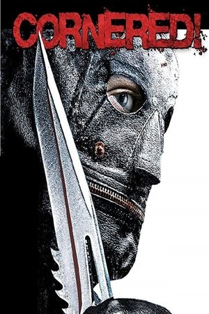 Cornered ! (2009)
