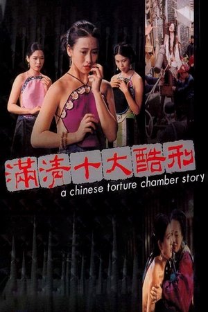 A Chinese Torture Chamber Story (1994)