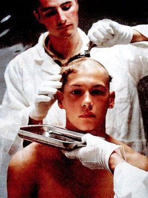 Vive la bombe ! (2007)