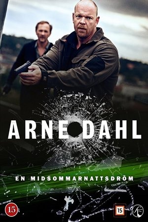Arne Dahl - En midsommarnattsdröm (2015)