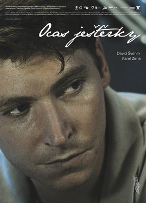 Ocas ještěrky (2009)