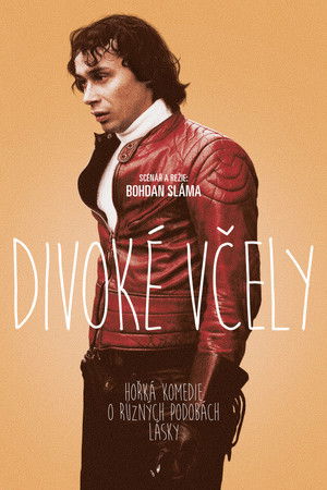 Divoké včely (2001)