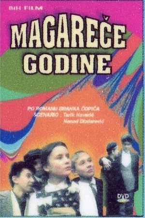 Magareće godine (1994)