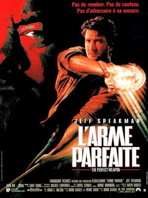 L'Arme parfaite (1991)